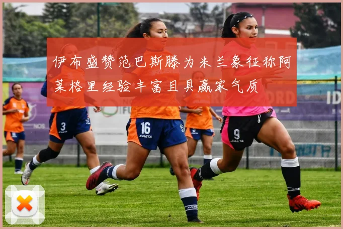 伊布盛赞范巴斯滕为米兰象征称阿莱格里经验丰富且具赢家气质