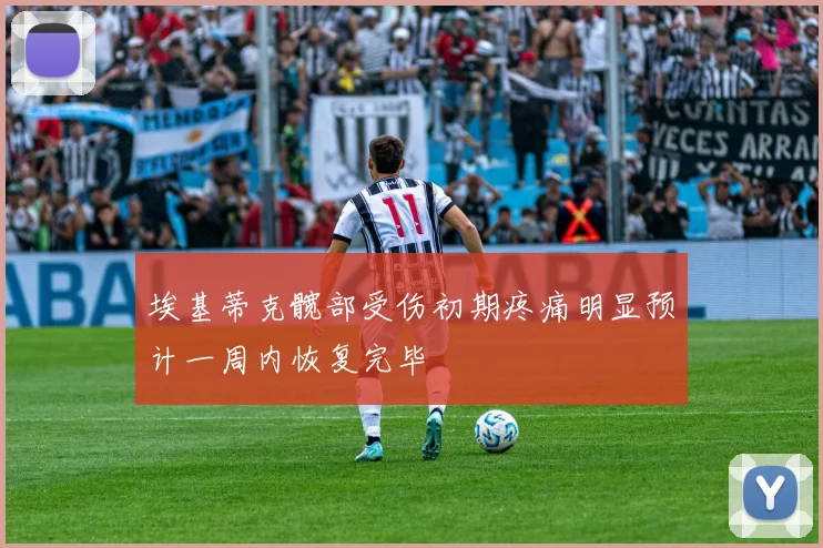 埃基蒂克髋部受伤初期疼痛明显预计一周内恢复完毕